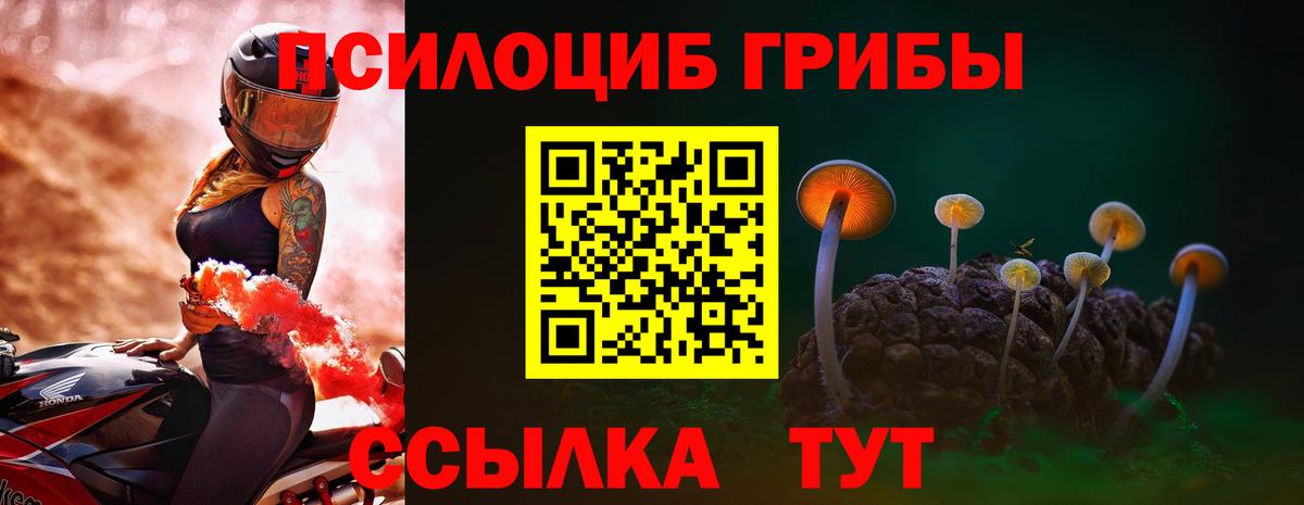Кизляр  Псилоцибиновые грибы Psilocybe  Вход с VPN 